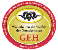 GEH-Logo-farbig_freigestellt_web (1)